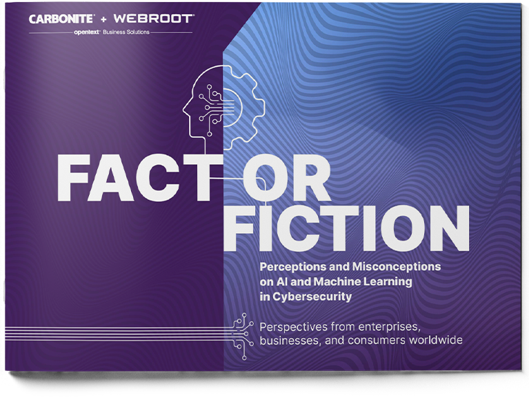 Download Now Fact or Fiction