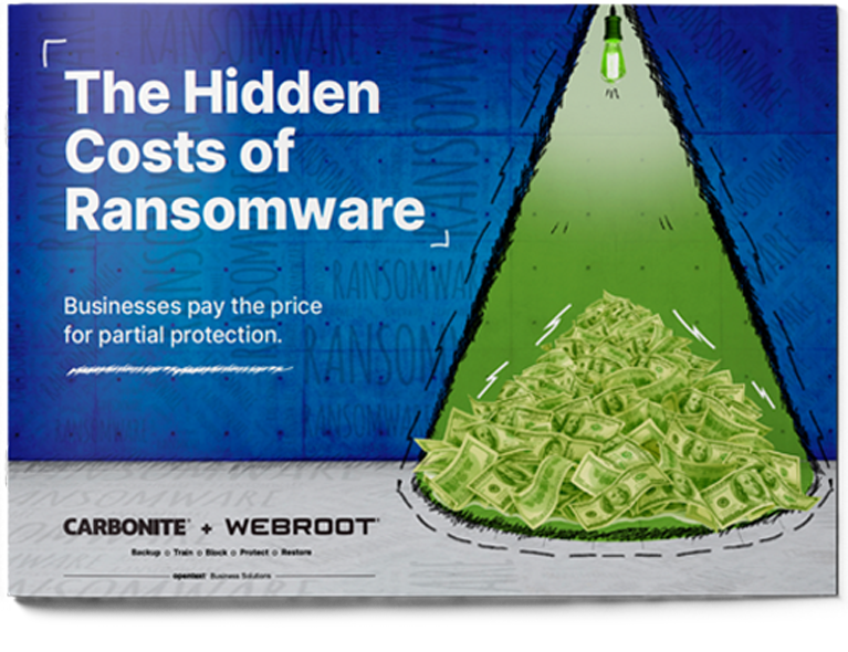 Download Now The Hidden Costs of Ransomware